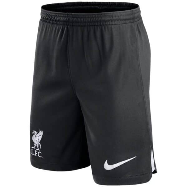 PACK LIVERPOOL EXTERIEUR MAC ALLISTER ADULTE 2023-2024